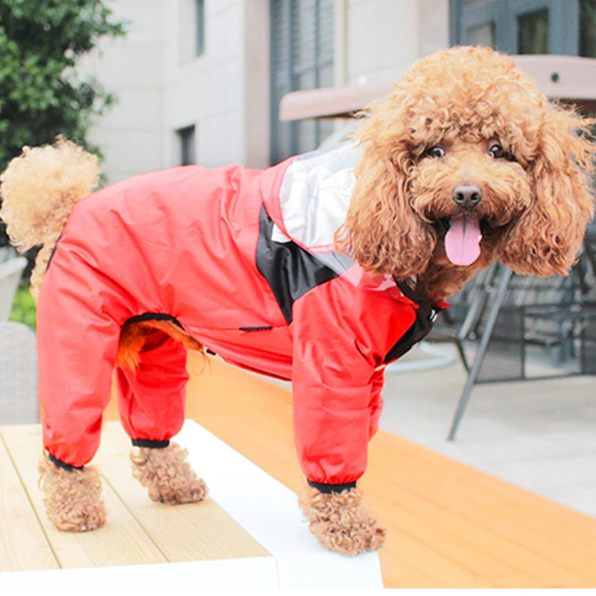 Dog Face Raincoat