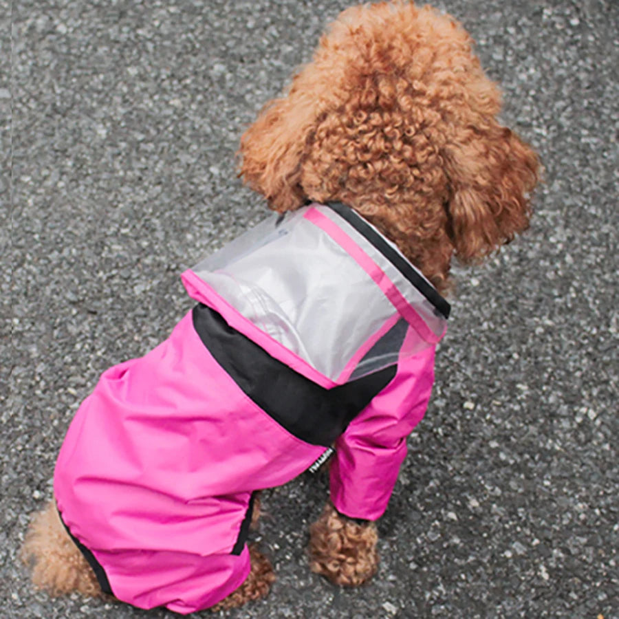 Dog Face Raincoat